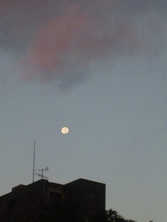 e0119327_13525793.jpg