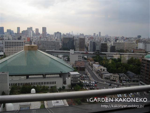 c0199728_2142076.jpg