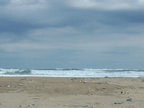 a0284729_16425316.jpg