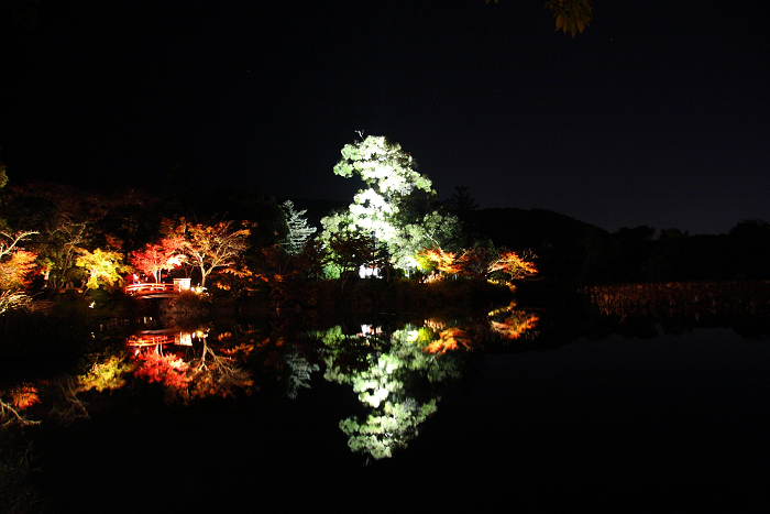 紅葉の嵯峨野巡り －大覚寺ライトアップ（後編）－_b0169330_23545162.jpg