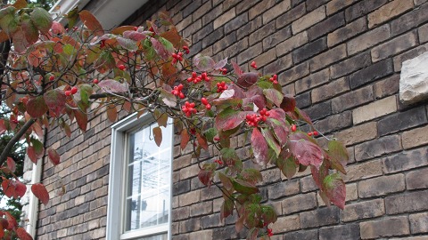 e0202031_221113.jpg