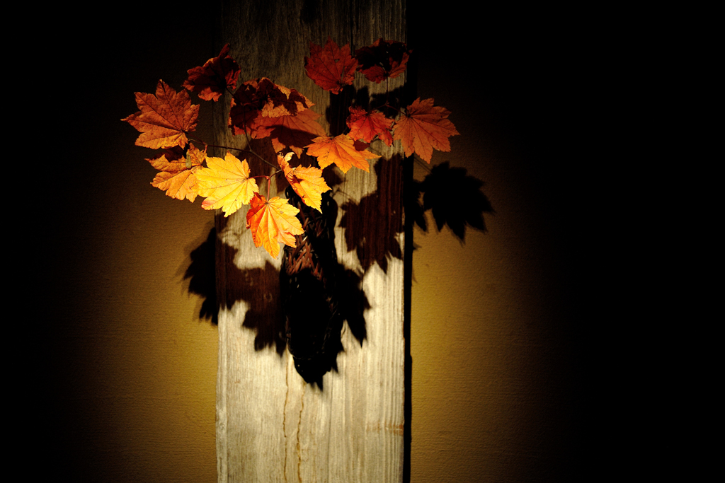 a0204732_2117767.jpg