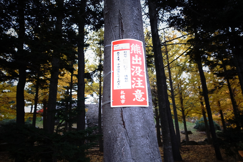 連日の西岡公園で熊注意。_c0051132_19532528.jpg
