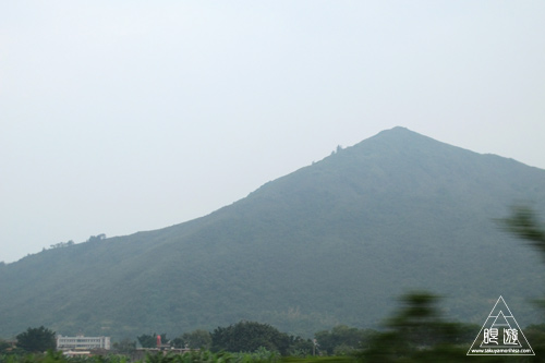 275 Haifeng ~中国でシマキンパラを撮影~_c0211532_1501889.jpg