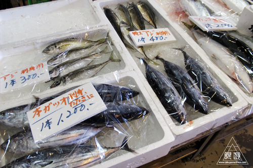 277 ポート赤碕 ~コショウダイを食らう~_c0211532_3512778.jpg