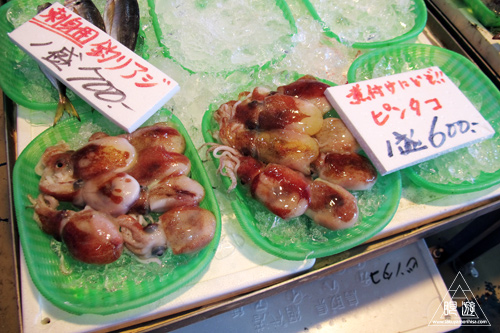 277 ポート赤碕 ~コショウダイを食らう~_c0211532_414119.jpg