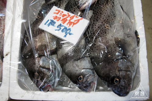 277 ポート赤碕 ~コショウダイを食らう~_c0211532_4231917.jpg