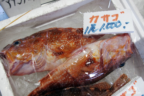 277 ポート赤碕 ~コショウダイを食らう~_c0211532_492767.jpg