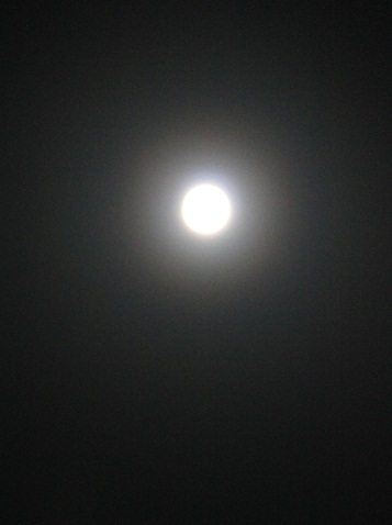 c0221732_432121.jpg
