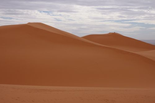 Sahara Desert (Message From D in D)_d0010432_7392949.jpg