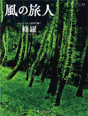 雑誌「風の旅人」が復刊します。_c0082534_1634493.jpg