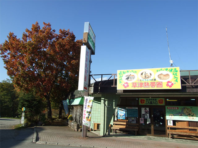 食欲の秋_a0179837_853189.jpg