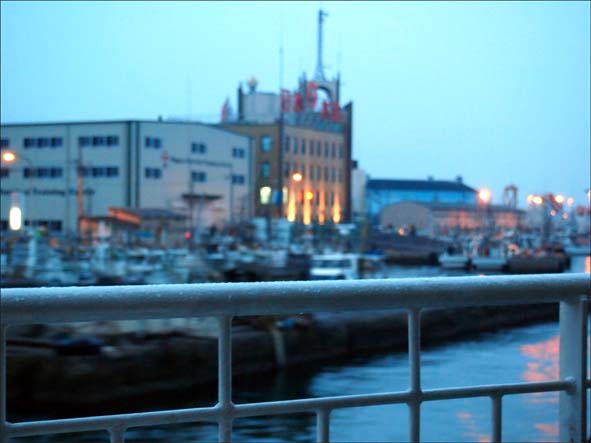e0100237_053021.jpg