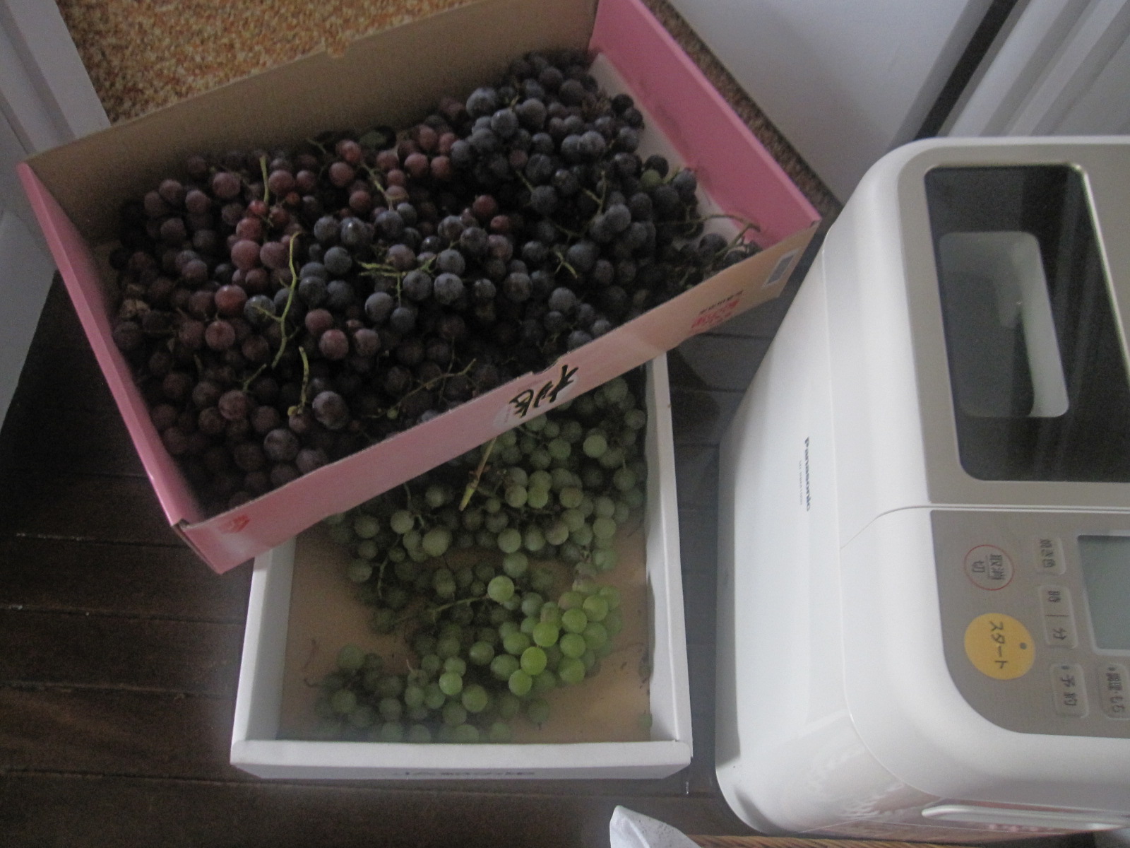 収穫した葡萄で葡萄ジュースとゼリー♪_a0279743_1774976.jpg