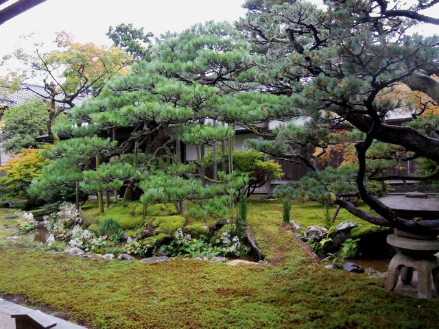 「　そらの会一泊旅行・金沢徘徊一日目　２０１２．１１．０１　　木　　」_d0094543_9191739.jpg