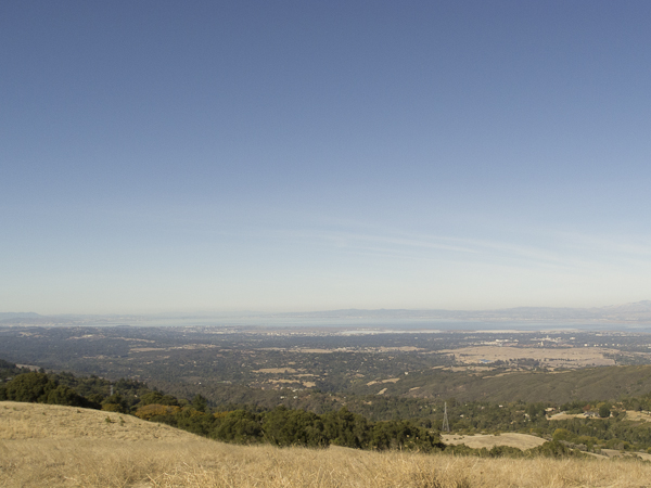 d0129244_1063028.jpg