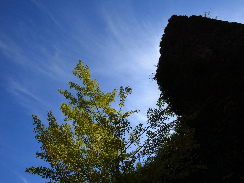 e0009147_9283464.jpg