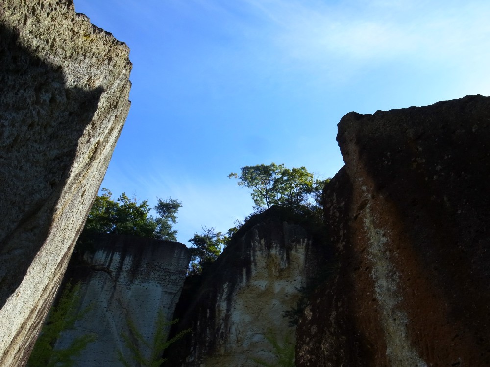 e0009147_929822.jpg