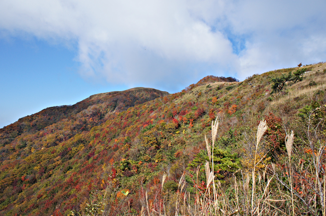 紅葉の三瓶山・再び①_f0214649_793787.jpg