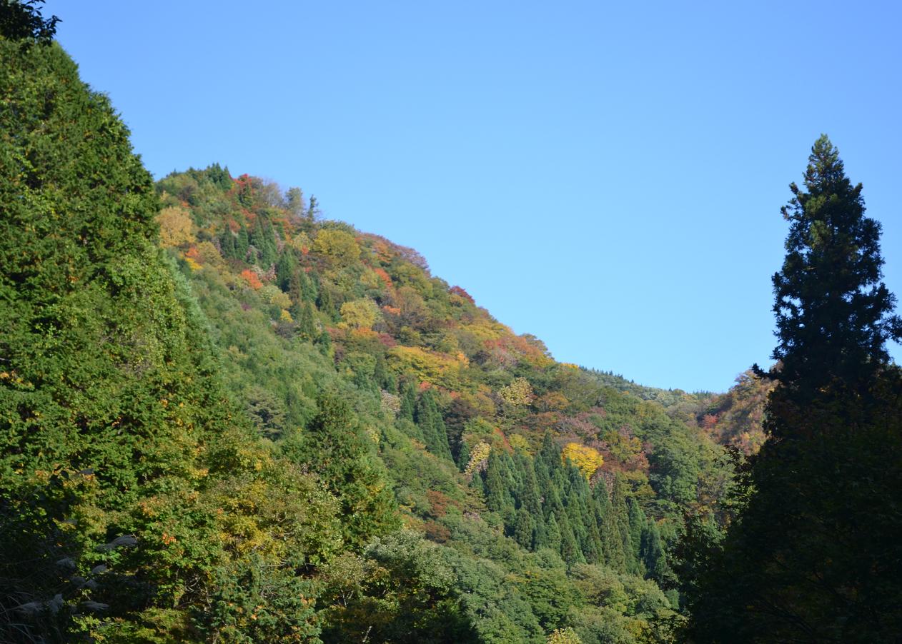 a0055650_1363554.jpg