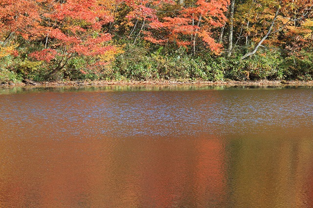 c0155950_959152.jpg