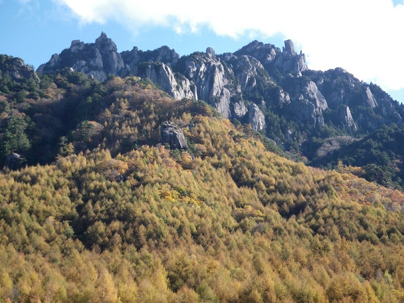a0286351_23374039.jpg