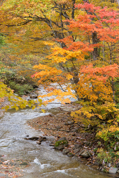 紅葉の会津路_c0206051_23543196.jpg