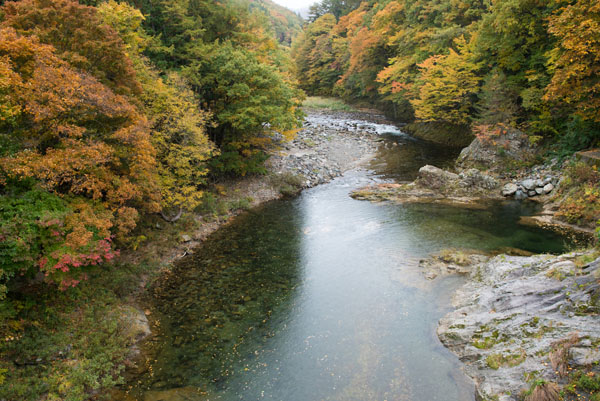 c0206051_2356759.jpg
