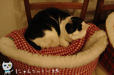 e0031853_176733.jpg