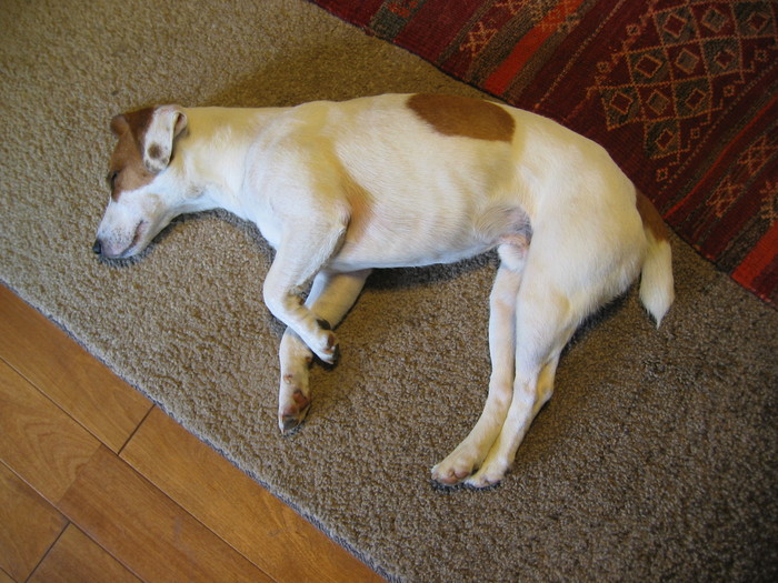 c0140260_22533121.jpg