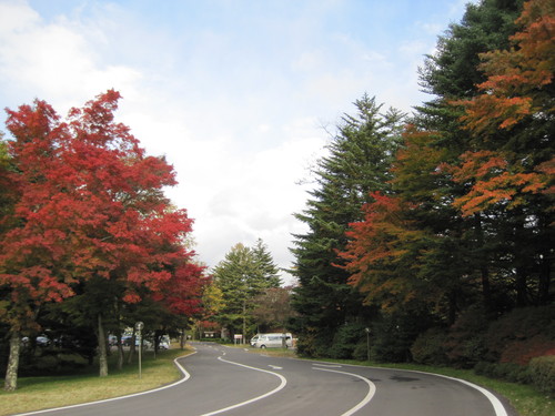 f0236260_12584490.jpg