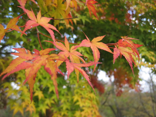f0236260_13123587.jpg