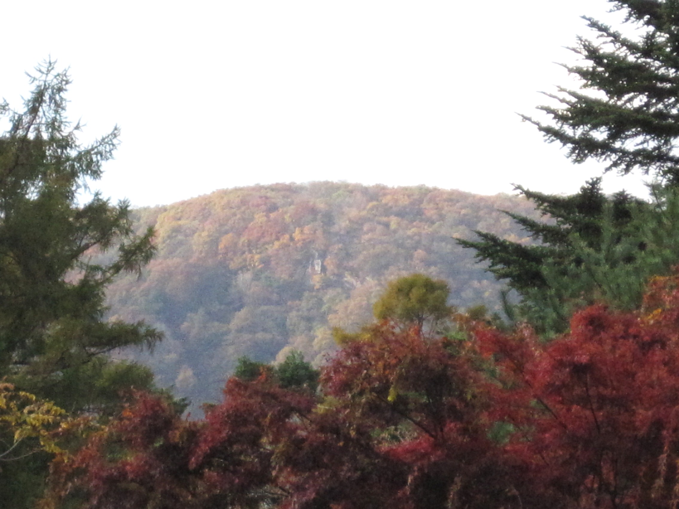 f0236260_1374588.jpg