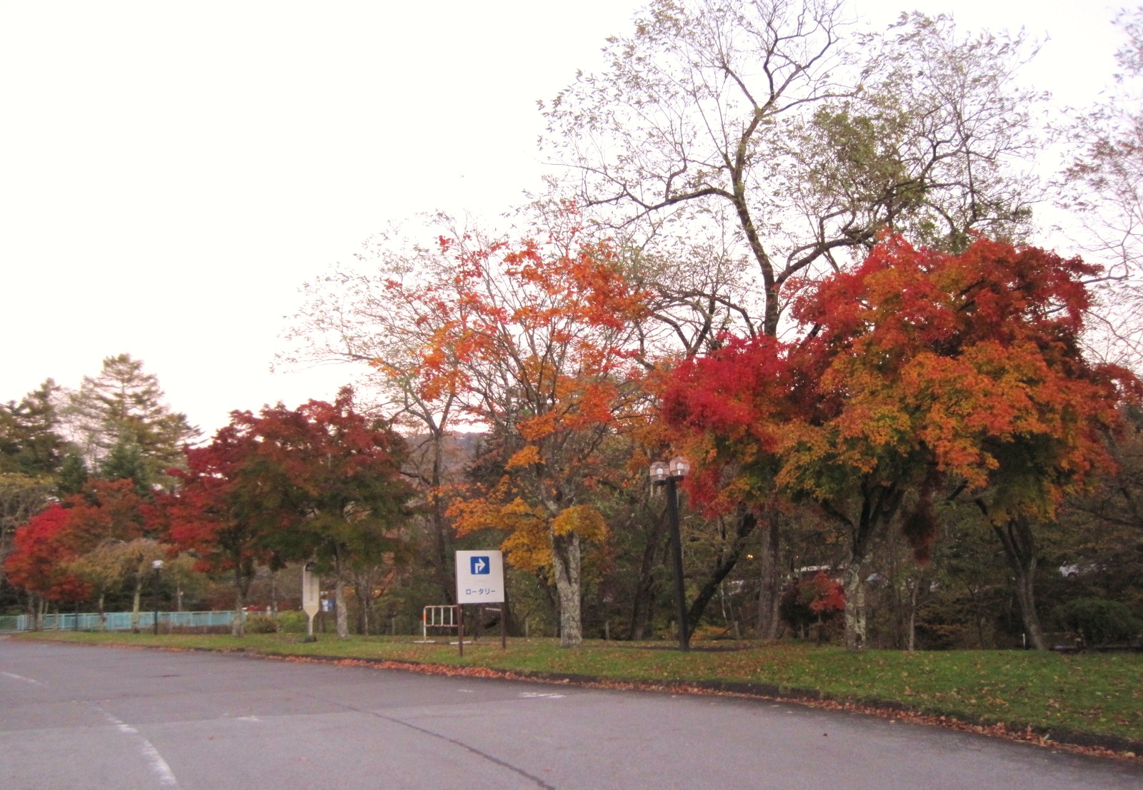 f0236260_2073784.jpg