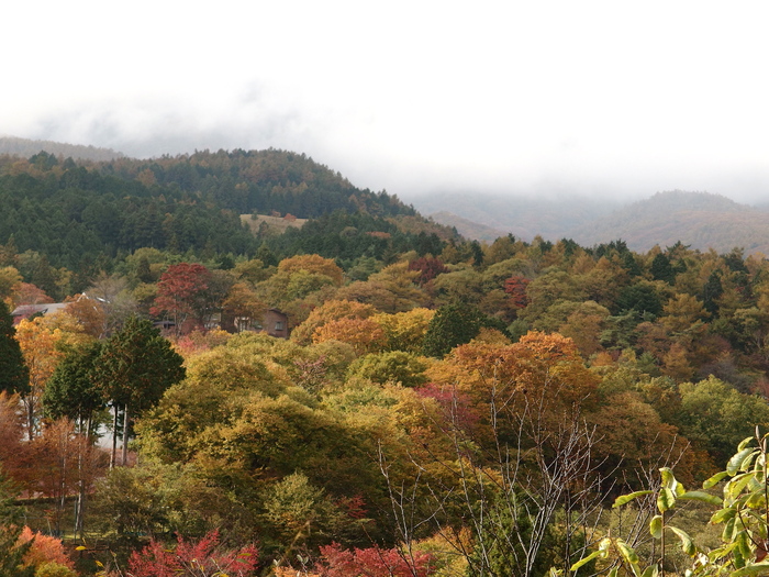 霧降高原の紅葉_b0208562_23181451.jpg