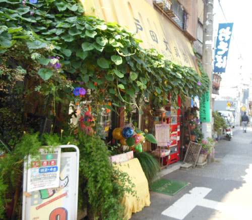 a0053063_23431571.jpg