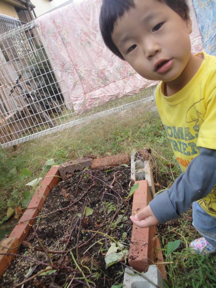 c0155364_026886.jpg