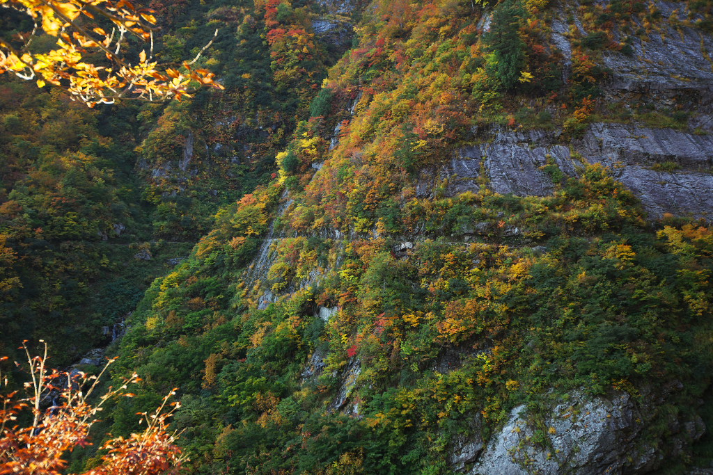 f0171065_22161335.jpg