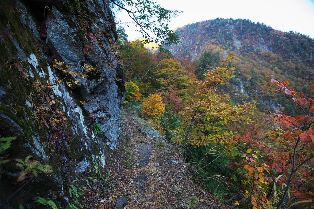 f0171065_2222022.jpg