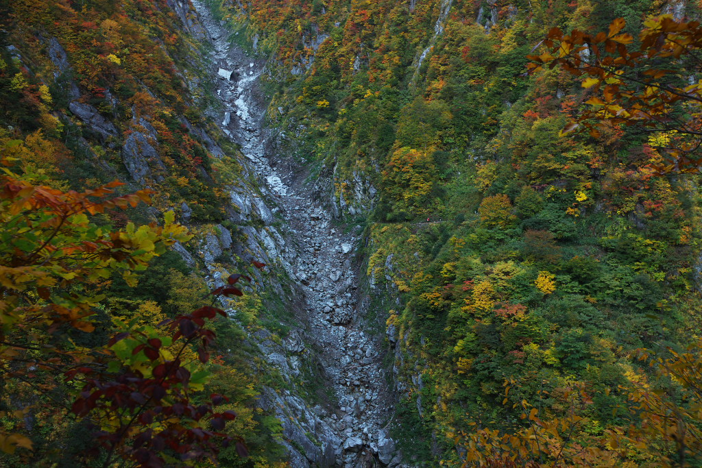 f0171065_22255061.jpg