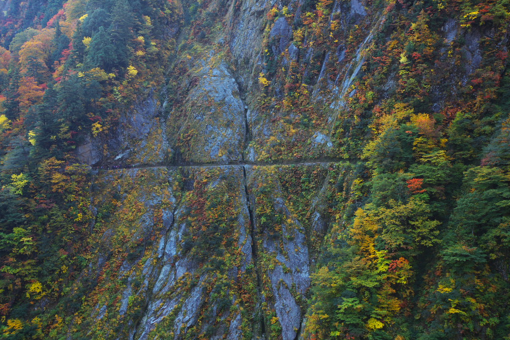 f0171065_22364984.jpg