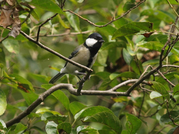 f0208666_1356138.jpg