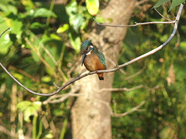 f0208666_14135290.jpg