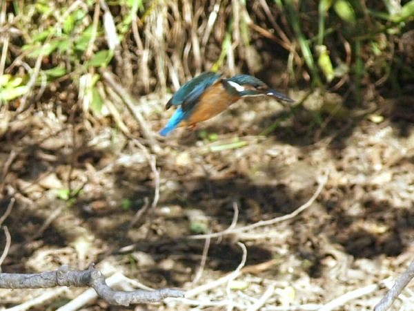 f0208666_141559.jpg