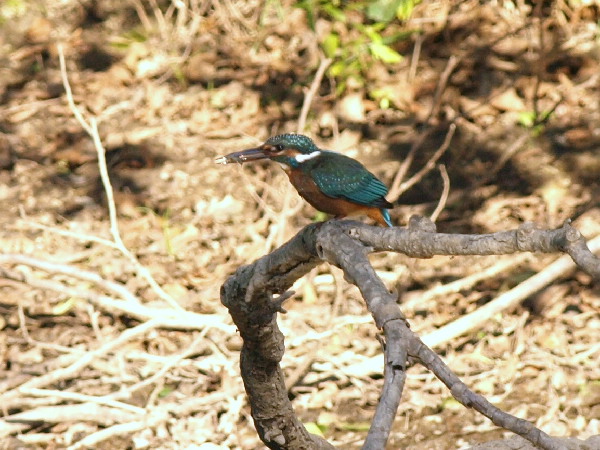 f0208666_14205154.jpg