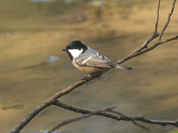 f0208666_14304231.jpg