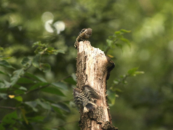 f0208666_145224.jpg