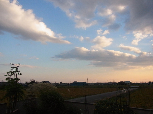 b0194267_19114029.jpg