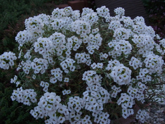 b0194267_1938148.jpg