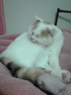 f0200871_0273122.jpg